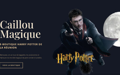 Ouverture de Caillou Magique, premier magasin Harry Potter à La Réunion